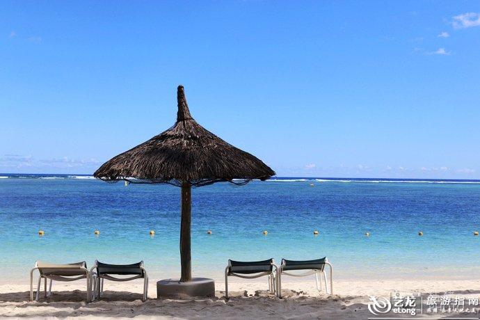 小红帽的冒险之旅